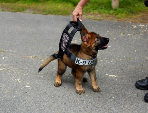 Flexpak Donates $2,500 For Police Dog